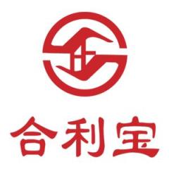 广州合利宝支付科技有限公司