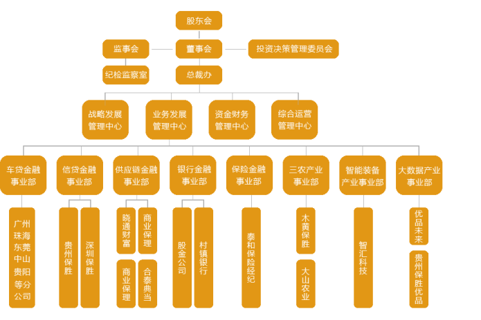 保胜集团组织架构图.