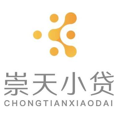 重庆市崇天小额贷款有限公司