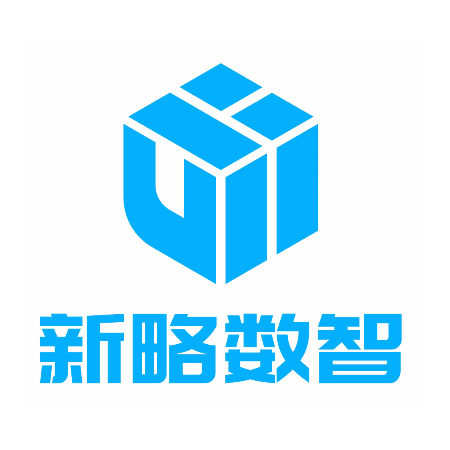 新略数智杭州科技有限公司上海分公司