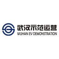 武汉电动汽车示范运营有限公司