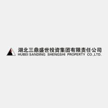  Hubei Sanding Shengshi Investment Group Co., Ltd