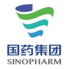  Guorun Medical Supply Chain Services (Shanghai) Co., Ltd