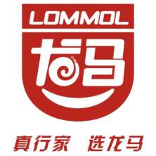 广东龙马新材料科技有限公司