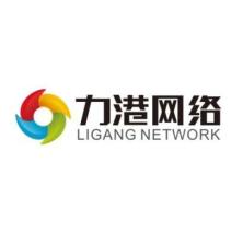 桂林力港网络科技股份有限公司