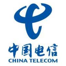  China Telecom Digital Intelligence Technology Co., Ltd