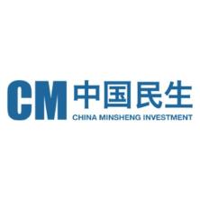 中民新能投资集团有限公司
