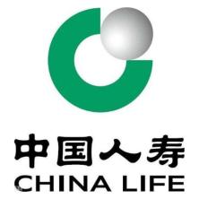 中国人寿保险-kaiyunI体育官网网页登录入口-ios/安卓/手机版app下载北京市分公司