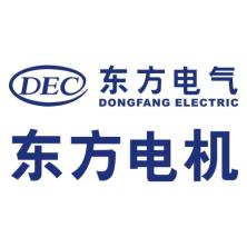 东方电气集团东方电机-kaiyunI体育官网网页登录入口-ios/安卓/手机版app下载