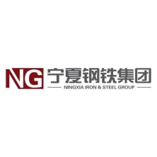  Ningxia Iron and Steel (Group) Co., Ltd