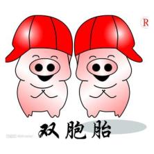 广东双胞胎饲料-kaiyunI体育官网网页登录入口-ios/安卓/手机版app下载