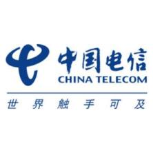 中电信数智科技有限公司山东分公司