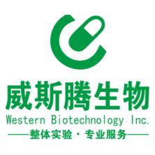 重庆威斯腾生物医药科技有限责任公司