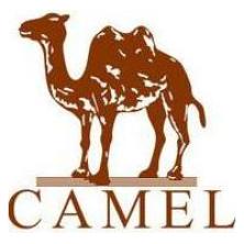 Camel dress