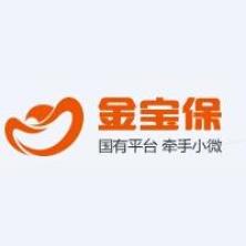重庆金宝保信息技术服务-kaiyunI体育官网网页登录入口-ios/安卓/手机版app下载