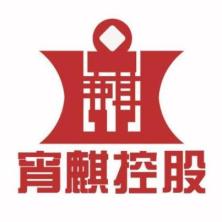 上海宵麒金融信息服务-kaiyunI体育官网网页登录入口-ios/安卓/手机版app下载