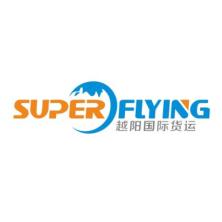 广州越阳国际货运代理-kaiyunI体育官网网页登录入口-ios/安卓/手机版app下载