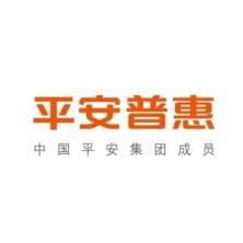 平安普惠信息服务-kaiyunI体育官网网页登录入口-ios/安卓/手机版app下载陕西分公司