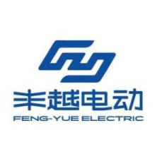 武汉丰越电动科技有限公司