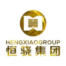 沈阳恒骁金融服务外包有限公司