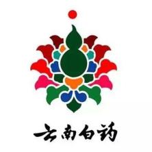 云南白药集团健康产品-kaiyunI体育官网网页登录入口-ios/安卓/手机版app下载
