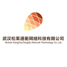 武汉松果通衢网络科技有限公司