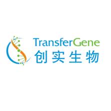 TransferGene创实生物