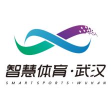 智慧体育产业发展(武汉)有限公司