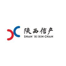  Shaanxi Public Information Industry Co., Ltd