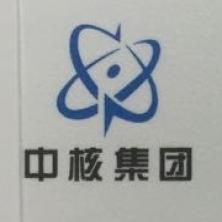 中核四川环保工程有限责任公司