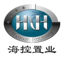 海南发展控股置业集团有限公司