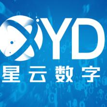 南京星云数字技术-kaiyunI体育官网网页登录入口-ios/安卓/手机版app下载