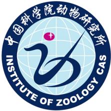 中国科-kaiyunI体育官网网页登录入口动物研究所