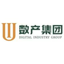 湖北省数字产业发展集团有限公司