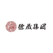 深圳市德晟金融控股集团有限公司