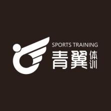 成都高升青春之翼体育发展-kaiyunI体育官网网页登录入口-ios/安卓/手机版app下载