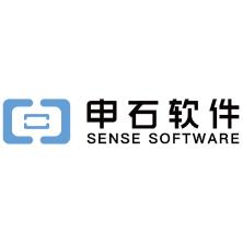上海申石软件有限公司