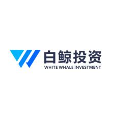 深圳市白鲸投资管理有限公司