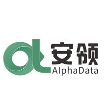 重庆安领数据科技有限公司