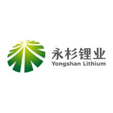  Hunan Yongshan Lithium Industry Co., Ltd