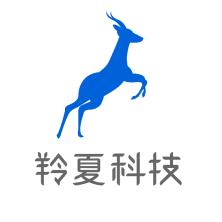 上海羚夏科技有限公司