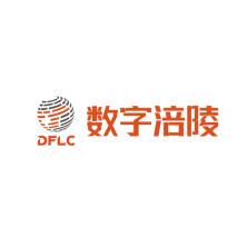 重庆数字涪陵大数据产业发展有限公司