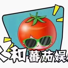 海南省蕃茄互联网有限责任公司