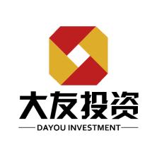  Dayou Investment