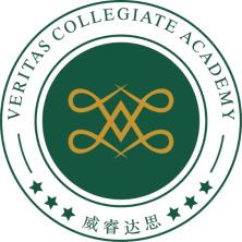 深圳威睿达思国际学校