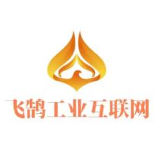 河北飞鹄工业互联网科技有限公司