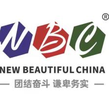 天津市新丽华色材有限责任公司