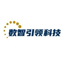 深圳数智引领科技有限公司