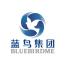 上海蓝鸟科技股份有限公司
