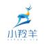 上海羚驾科技有限公司